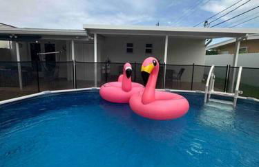 Flamingo Paradise - Foto 63