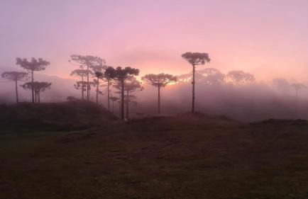 Brumas Casa de Campo - Cambará do Sul - Foto 27