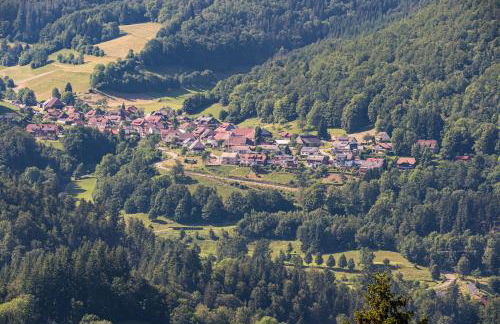 Ferienwohnung Belchenliebe - Foto 14