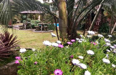 Quinta Da Bela Vista - Photo 55