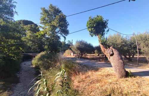 Kitharida garden - Foto 12