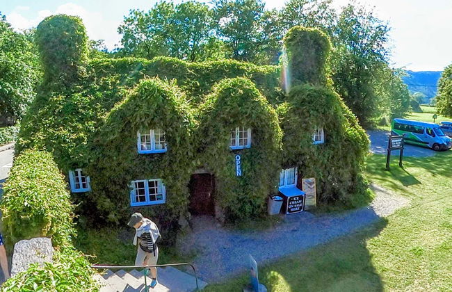 Snowdonia National Park, Caernarfon & Portmeiron Trip - Foto 12