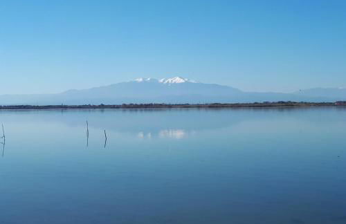 Quetzal, Clim, jardin et parking - Photo 23