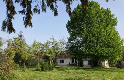 Séjour nature au cœur du Parc de la Brenne: gîte 4 chambres, jardin et terrasse, proche de Rosnay - FR-1-591-141 - Foto 17