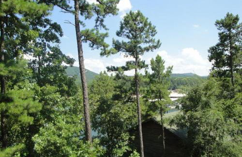 C9, Two bedroom, two bath, log-sided, lake view cottage with hot tub cottage - Foto 22