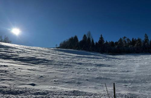 Ferienhaus Rotzinger - Foto 29
