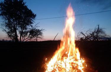 Zakątek Szczęścia Eko Agroturystyka - Foto 43