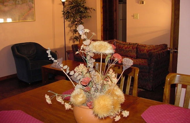 Chapel Hill InnTown - Foto 12