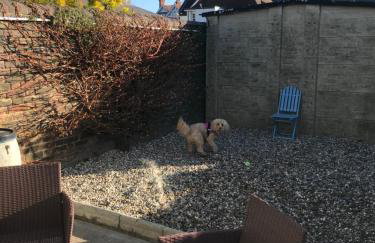 Shelley Beach - Foto 16