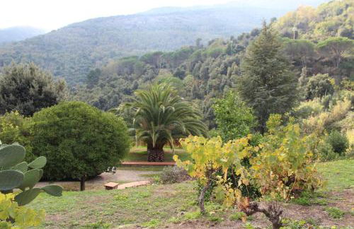 Villa Shanti Yoga & Meditation - Foto 79