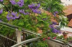 Villa Ani apartment Ariel - Foto 38