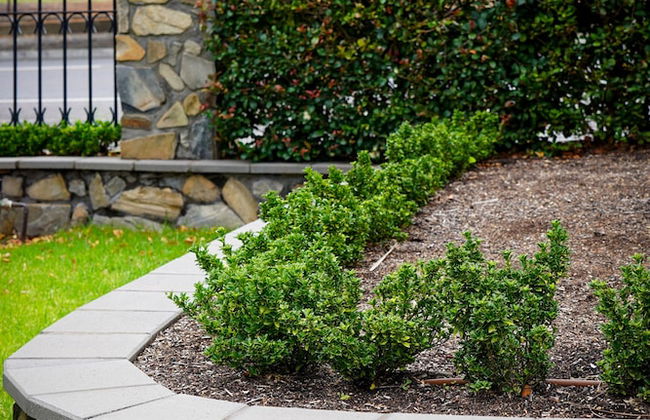 Barossa Bed & Breakfast - Foto 19