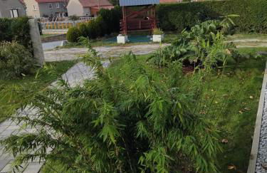 Ferienwohnung Schmidt - Foto 5