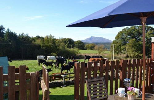 Siabod, Betws y Coed, Snowdonia 2 en-suite bedrooms - Foto 1