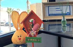 Aloha Beach Vibe - Foto 2