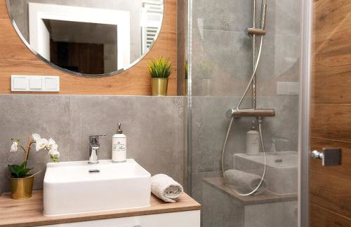 VIP Apartament number 7 - Foto 12