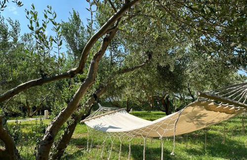 MarAzul Apartments - Foto 56