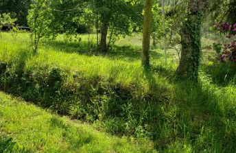 Casa de Nuna- calefacción, naturaleza, Netflix - Foto 30