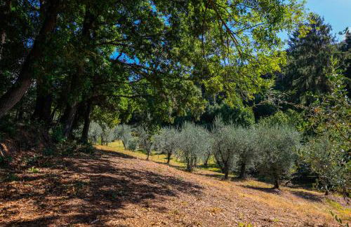 AGRITURISMO TERRA VOLONTERI - Foto 15