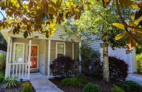 Green Whale - Photo 2