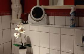 Gusto Stolberg - Foto 43