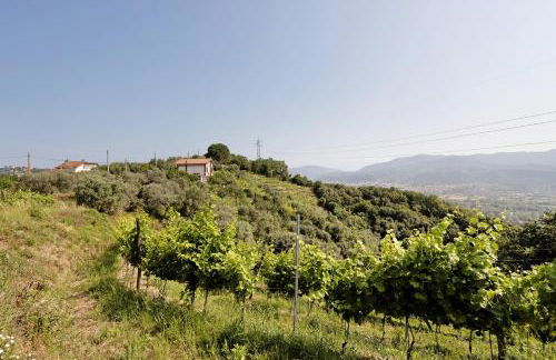 Agriturismo Per Caso - Photo 18