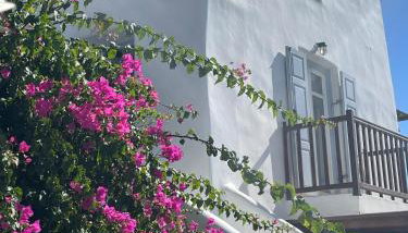 COZY CYCLADIC HOME , close to Ornos beach - Foto 4