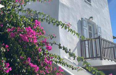 COZY CYCLADIC HOME , close to Ornos beach - Foto 4