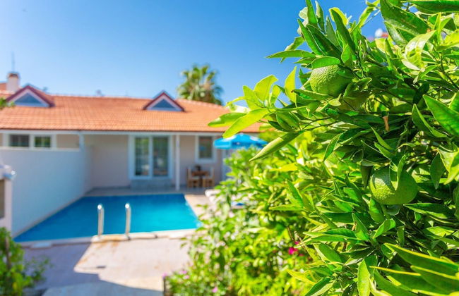 Villa Duman 1 Private Pool A C Wifi Car Not Required - 3164 - Foto 6