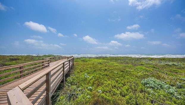 Servizio della struttura