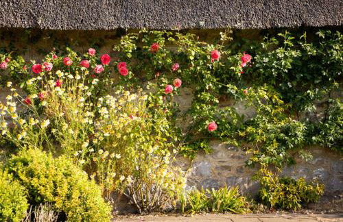 H Oxencombe Farm House - Foto 21