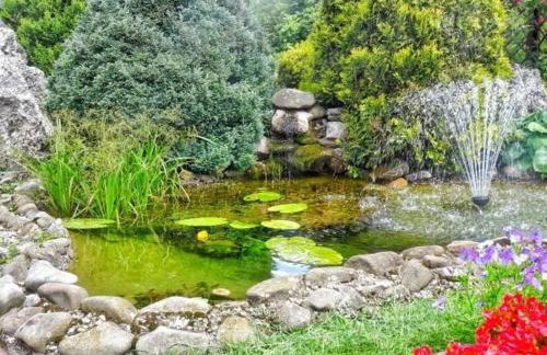 SKALNY apartamenty, pokoje - Foto 68