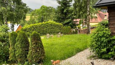 DZIUPLA - Tatra Rustic Log Cabin - Foto 2