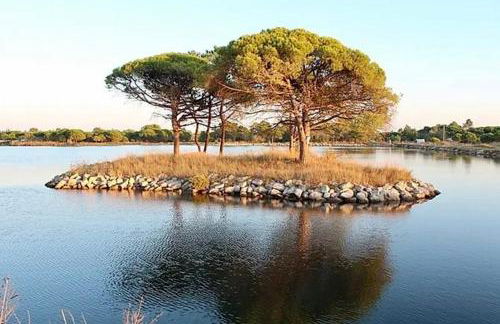 Apartment Cosy - Lake View - Photo 15