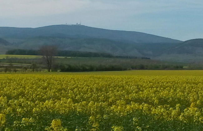 Ferienwohnung mit Terrasse in Blankenburg - Foto 24