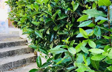 A casa da Anita - Foto 10