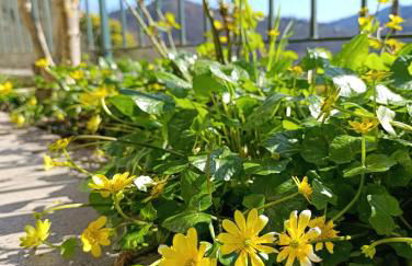 La Casa del Sole - Foto 32