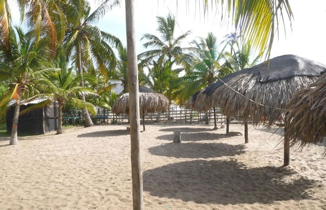 Las acacias Tolu - Foto 3