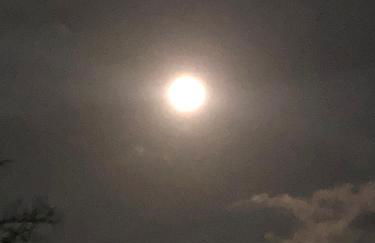 L'Olivier Fleurie Barjols - Foto 48