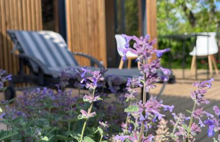 Greenkub Serenity - Photo 7