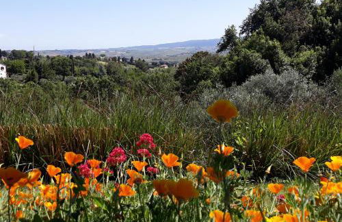 Mare Colline Città d'Arte - Foto 19