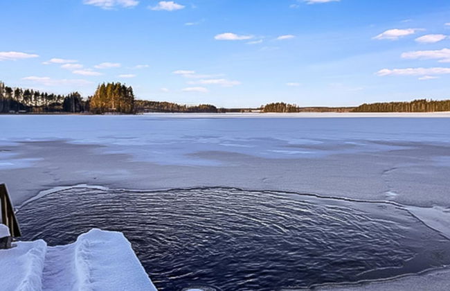 Villa saimaan joutsenlahti - Foto 36