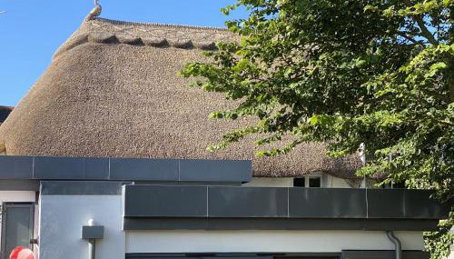 Hope Thatch - Photo 4