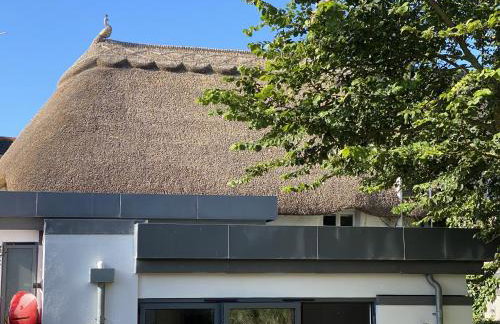 Hope Thatch - Foto 4