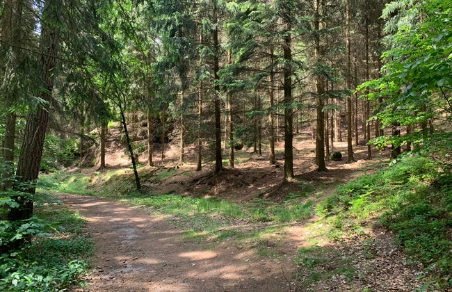 Jeschkenpanorama - Foto 33