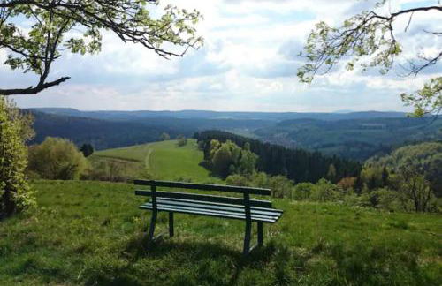 Ruhiges Ferienhaus am Waldrand mit Sauna und Kamin - Hellaberg II - Foto 26