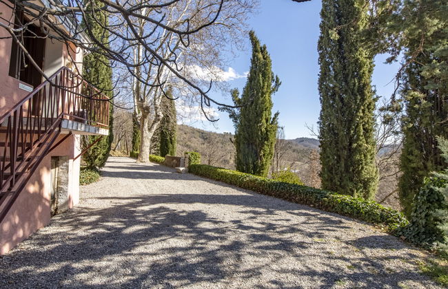 L'Amandier - Foto 17