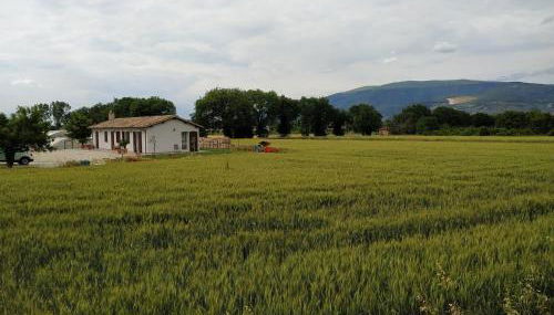 AGRITURISMO " LE SERRE" - Foto 5