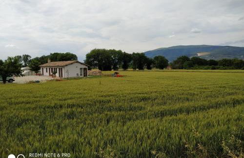 AGRITURISMO " LE SERRE" - Foto 5