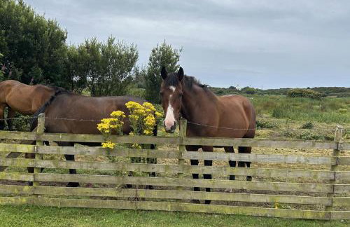 Chalet Sleeps 4 Near Cymyran Beach - Foto 7